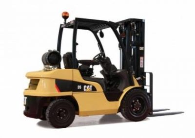 Caterpillar-1